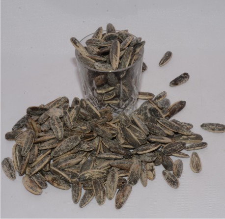 Sunflower Seed Dried